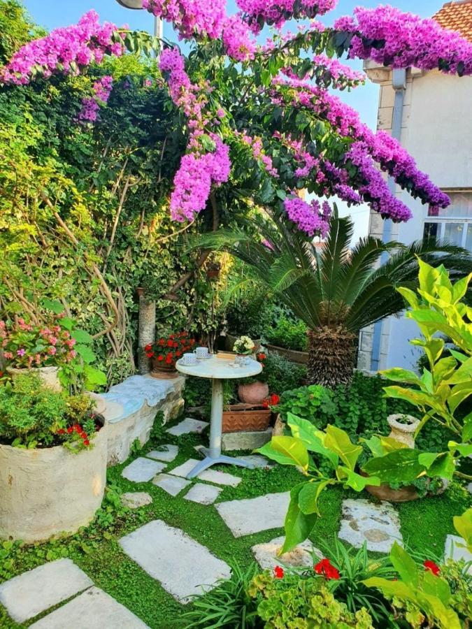 Rooms Garden - With A View 杜布罗夫尼克 外观 照片